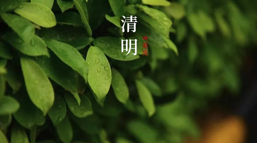 今日清明，點(diǎn)一盞心燈，思念遠(yuǎn)方的故人！